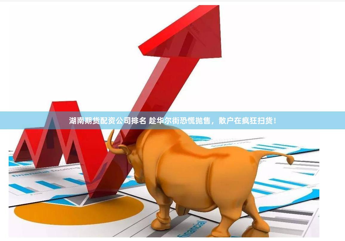 湖南期货配资公司排名 趁华尔街恐慌抛售，散户在疯狂扫货！
