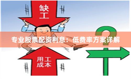 专业股票配资利息：低费率方案详解