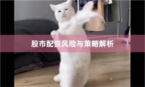 股市配资风险与策略解析